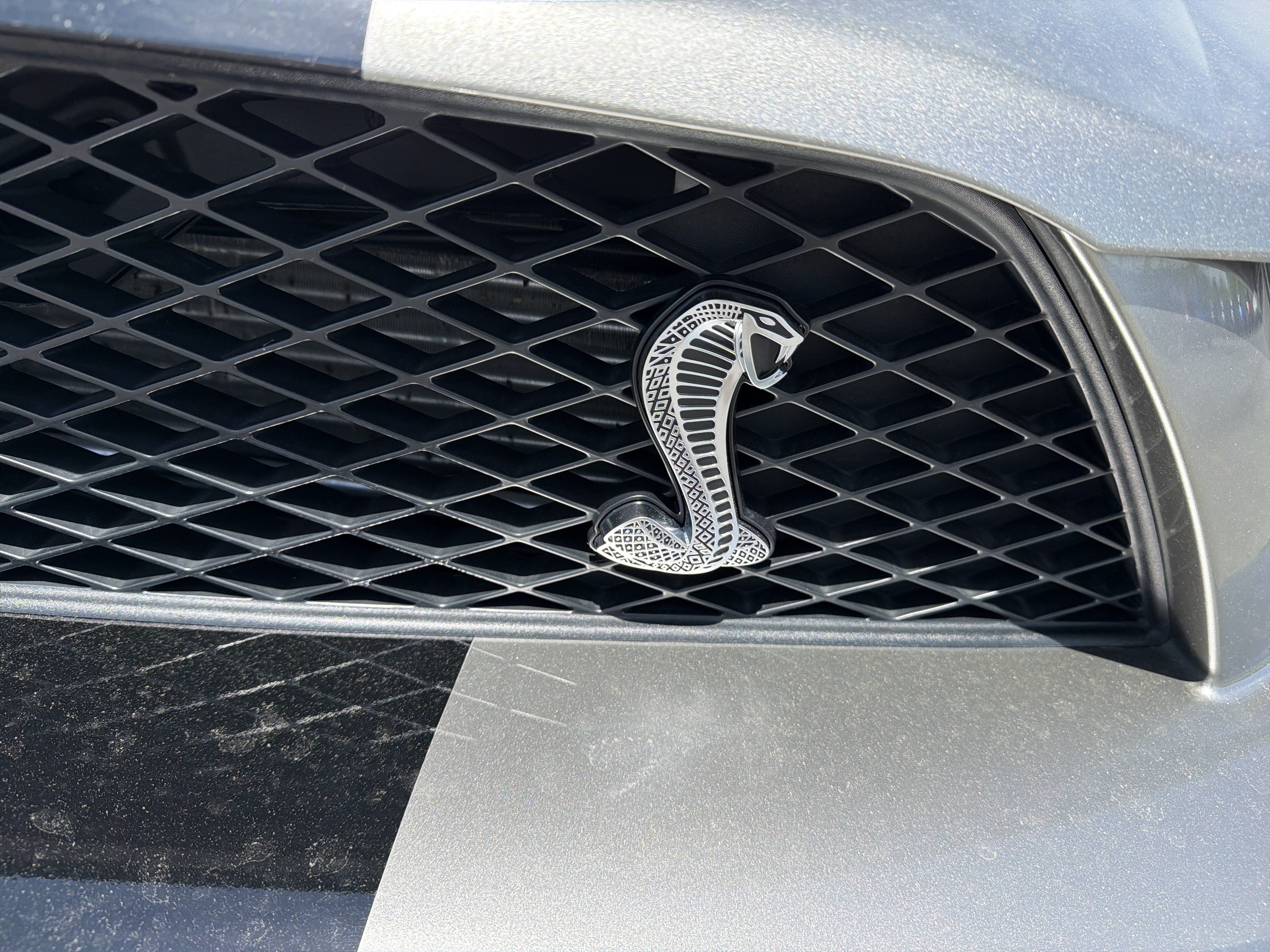 Used 2008 Ford Mustang Shelby GT500 RWD image 12