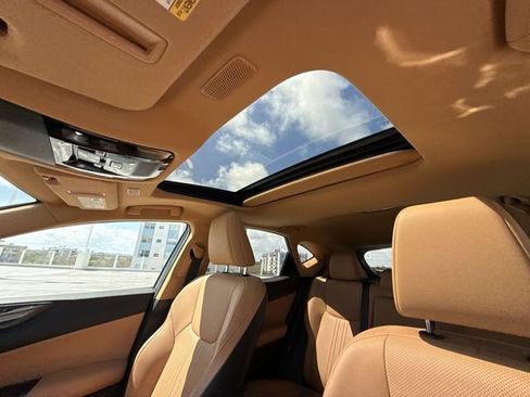 Used 2025 Lexus NX 250 FWD w/ Cold Area Package image 22