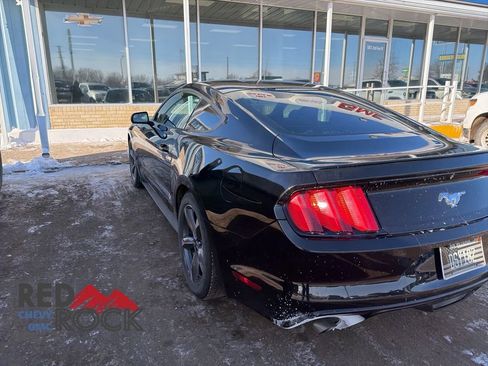 Used 2015 Ford Mustang EcoBoost w/ Enhanced Security Package image 13