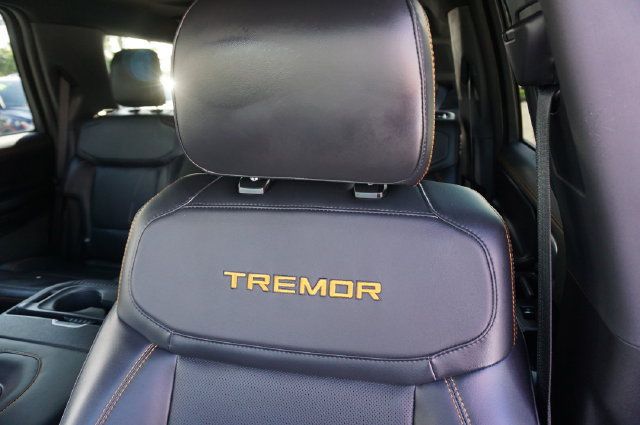 Used 2025 Ford Expedition Tremor AWD/4WD image 36