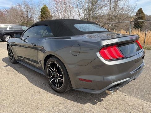 Used 2019 Ford Mustang GT Premium w/ Equipment Group 401A image 5
