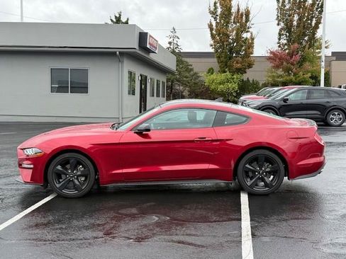 Certified 2023 Ford Mustang EcoBoost w/ Equipment Group 101A image 6