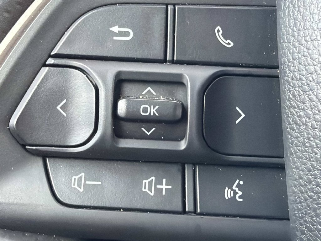Used 2025 Toyota 4Runner Limited AWD/4WD image 19