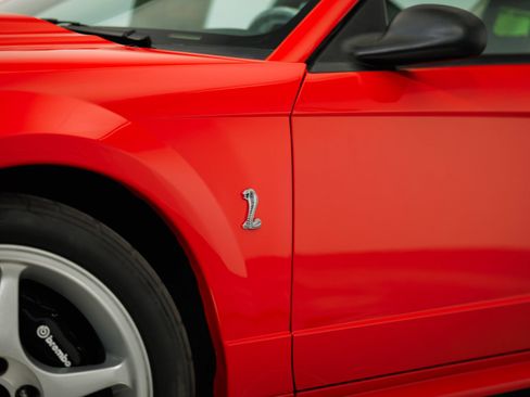 Used 2000 Ford Mustang Cobra RWD image 3