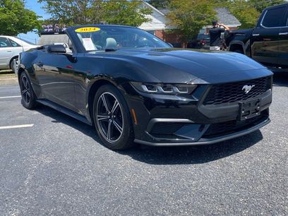 Used 2024 Ford Mustang Premium