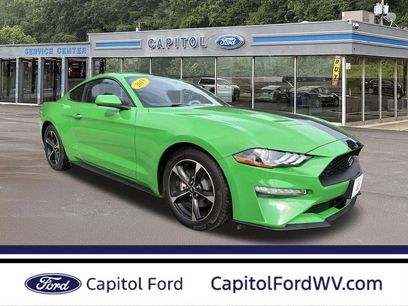 Used 2019 Ford Mustang Coupe