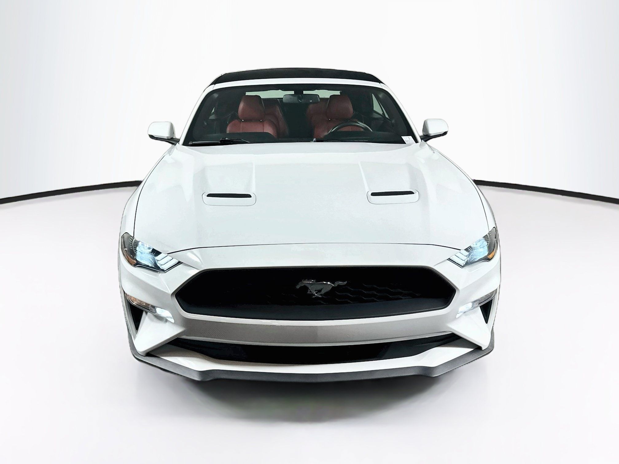 Used 2018 Ford Mustang Premium w/ Equipment Group 201A RWD image 2