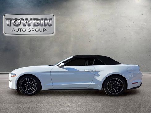Used 2023 Ford Mustang Premium w/ Equipment Group 201A RWD image 7