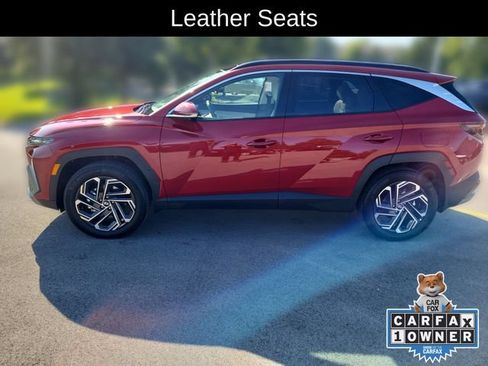 Used 2026 Hyundai Tucson Limited AWD/4WD image 2