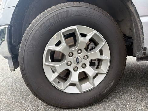 Used 2025 Ford F150 XLT w/ Equipment Group 301A Standard AWD/4WD image 8