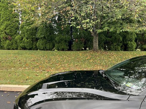 Used 2019 Ford Mustang GT Premium w/ Enhanced Security Package image 81