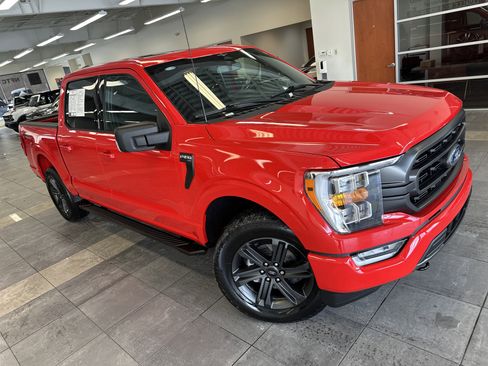 Used 2023 Ford F150 XLT w/ Equipment Group 302A High image 14