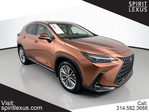 Certified 2025 Lexus NX 350h AWD w/ Cold Area Package image 1
