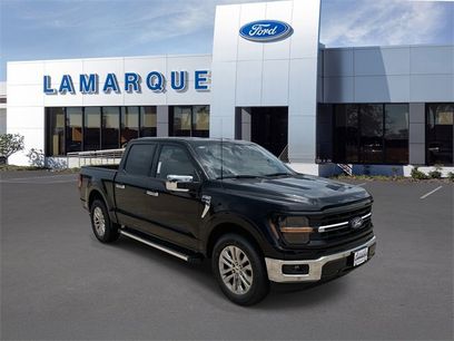 New 2025 Ford F150 XLT w/ Equipment Group 302A MID