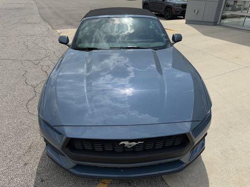 Used 2025 Ford Mustang Premium RWD image 12