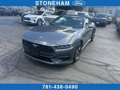 Used 2024 Ford Mustang Premium