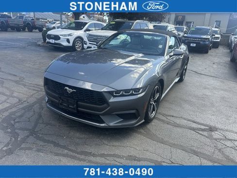 Used 2024 Ford Mustang Premium image 1