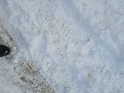 New 2026 GMC Terrain AT4 w/ LPO, Floor Liner Package image 2