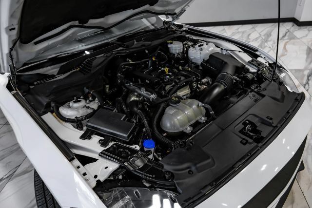 Used 2023 Ford Mustang Premium w/ Mustang Nite Pony Package RWD image 52