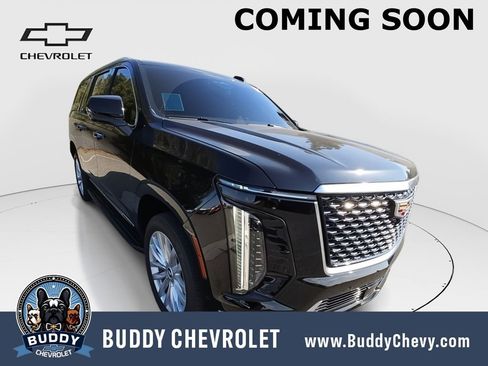 Used 2025 Cadillac Escalade ESV Luxury AWD/4WD image 1