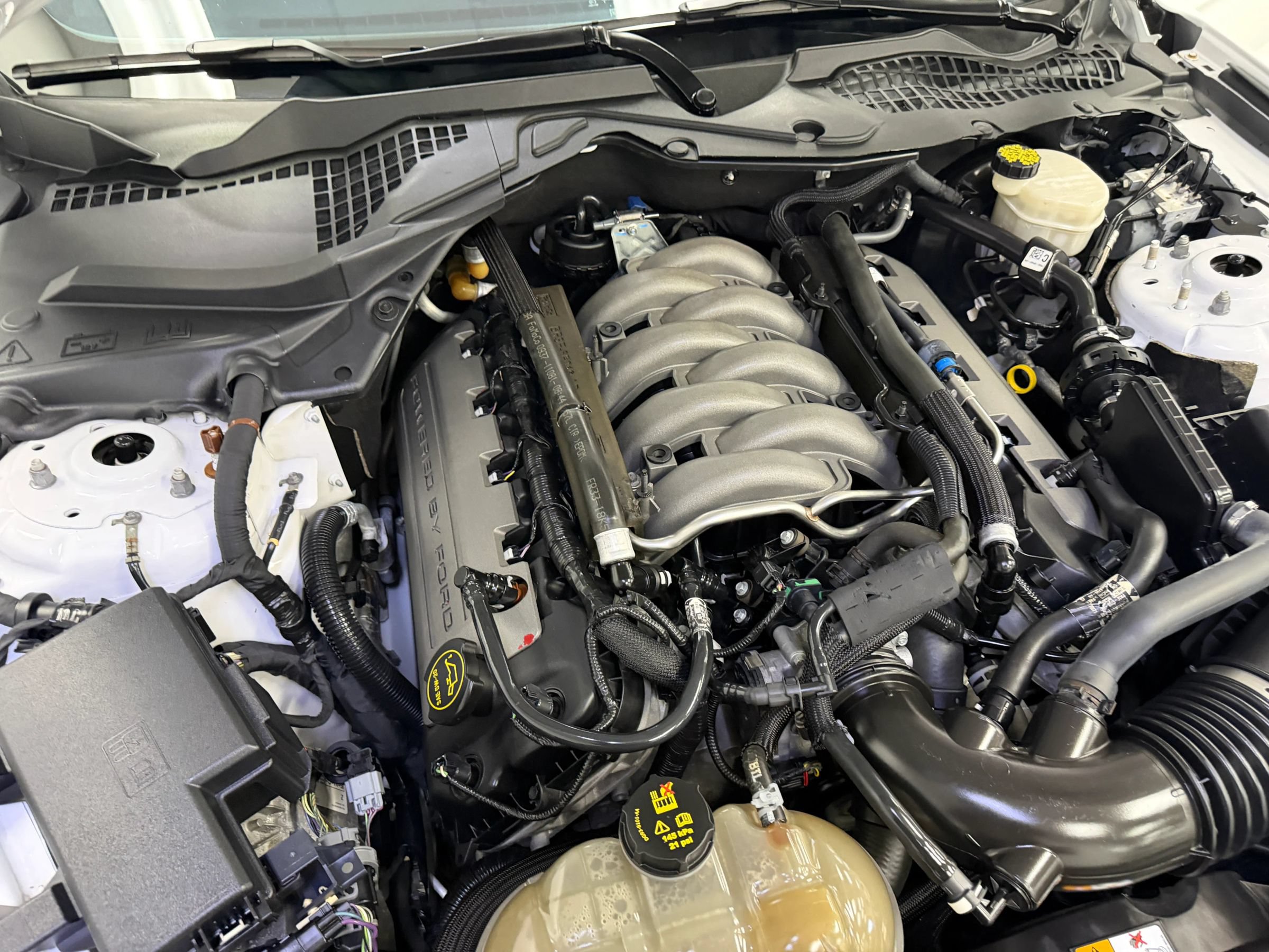 Used 2017 Ford Mustang GT w/ Enhanced Security Package RWD image 27