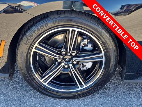 Used 2024 Ford Mustang Premium image 7