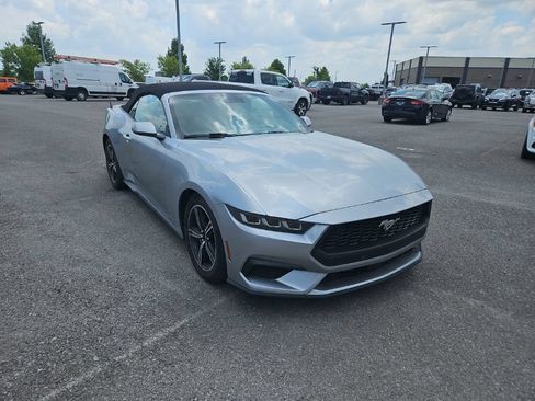 Used 2024 Ford Mustang Premium RWD image 1