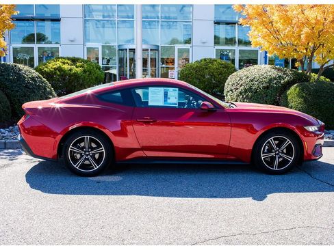 Used 2024 Ford Mustang Coupe image 1