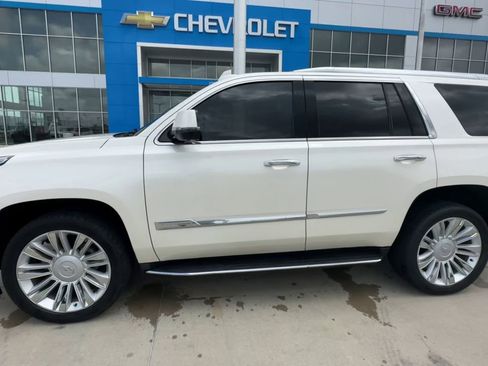 Used 2015 Cadillac Escalade Platinum AWD/4WD image 6