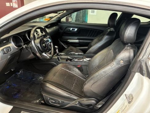 Used 2019 Ford Mustang Premium RWD image 14