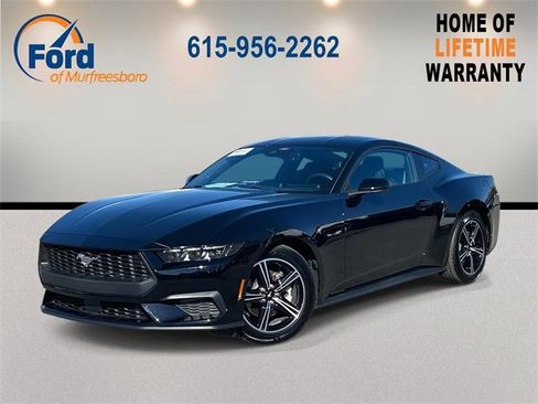 Certified 2025 Ford Mustang EcoBoost image 1