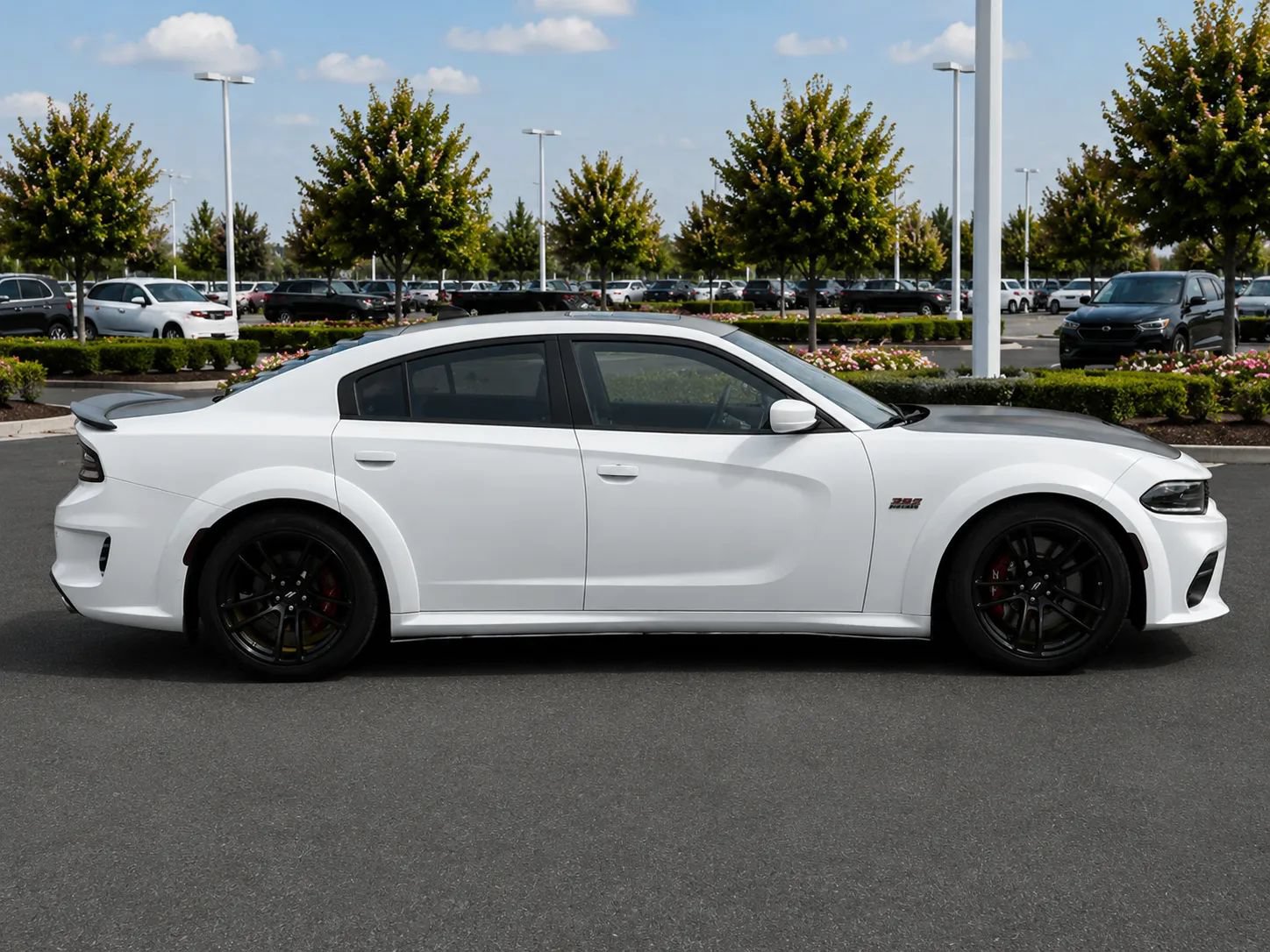 Used 2022 Dodge Charger Scat Pack RWD image 6