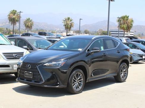 Certified 2026 Lexus NX 350h AWD w/ Cold Area Package image 3