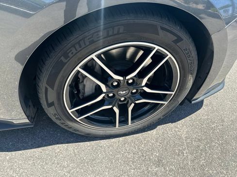 Used 2019 Ford Mustang GT Premium w/ Equipment Group 401A RWD image 5