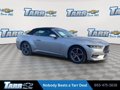 Used 2025 Ford Mustang Premium RWD image 2