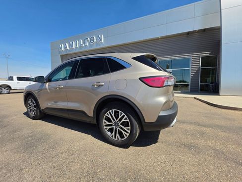 Used 2020 Ford Escape SEL FWD image 2
