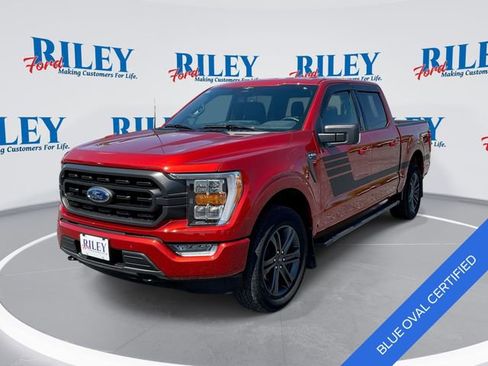 Used 2023 Ford F150 XLT w/ Equipment Group 302A High AWD/4WD image 1