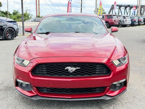 Used 2015 Ford Mustang Premium RWD image 10