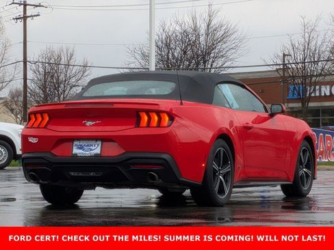 Certified 2025 Ford Mustang Premium image 5