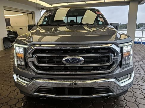 Used 2023 Ford F150 XLT w/ Equipment Group 302A High image 2