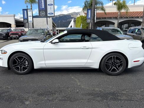Certified 2019 Ford Mustang Premium image 5