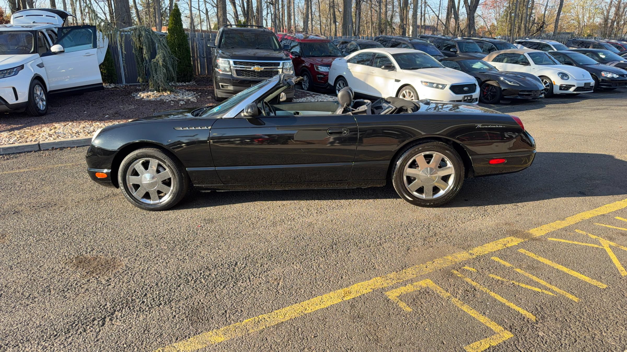 Used 2002 Ford Thunderbird RWD image 40