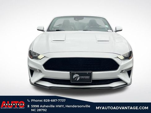 Used 2019 Ford Mustang Premium w/ Equipment Group 201A image 9