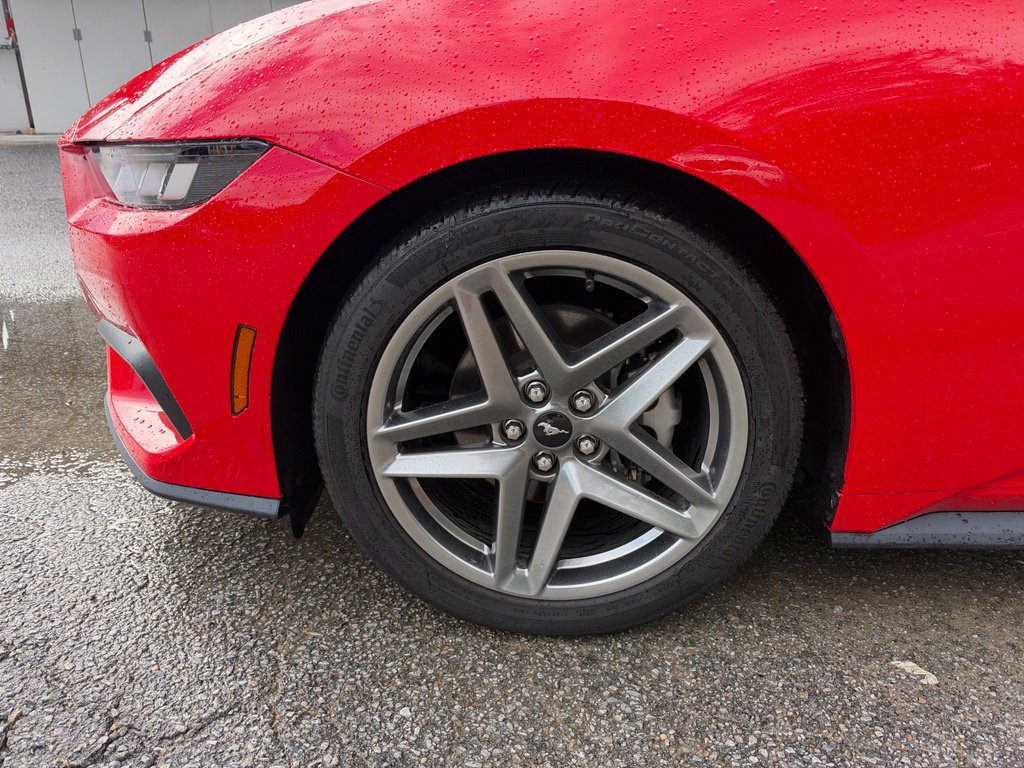 Used 2024 Ford Mustang Premium RWD image 16