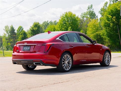 Used 2020 Cadillac CT5 Premium Luxury AWD/4WD image 5
