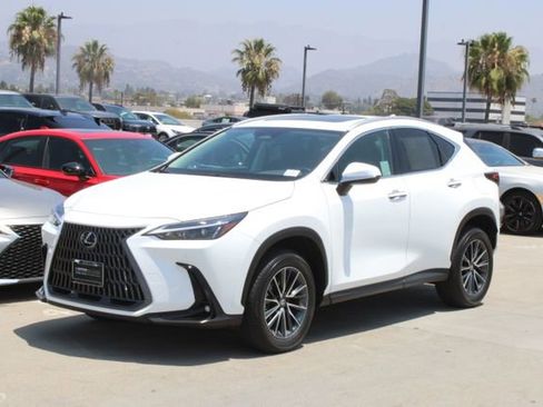 Certified 2026 Lexus NX 350h AWD w/ Cold Area Package image 3