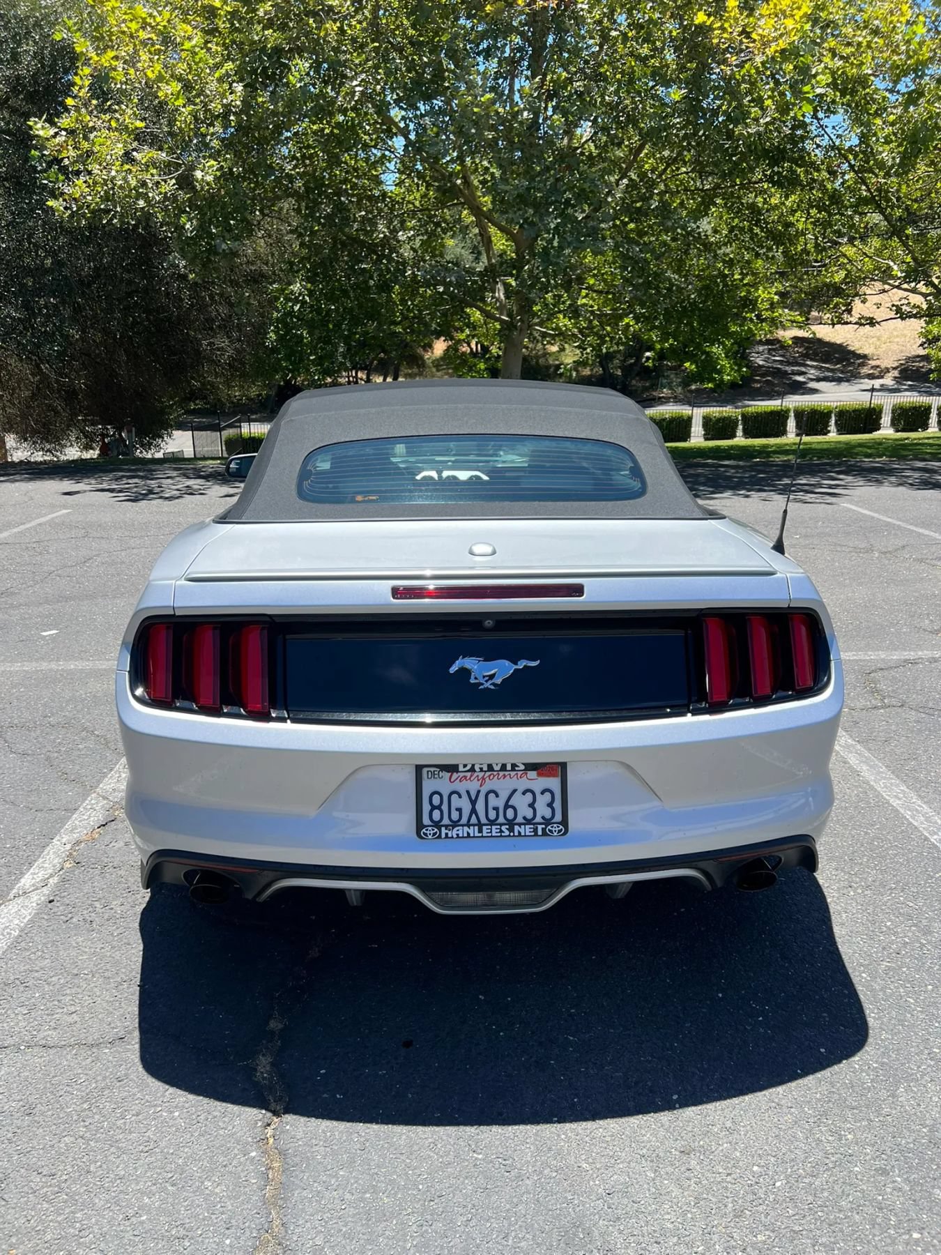 Used 2017 Ford Mustang Premium RWD image 6
