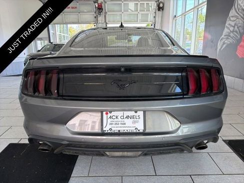 Used 2023 Ford Mustang Premium w/ Equipment Group 201A RWD image 2