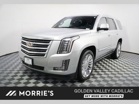 Used 2020 Cadillac Escalade Platinum AWD/4WD image 1