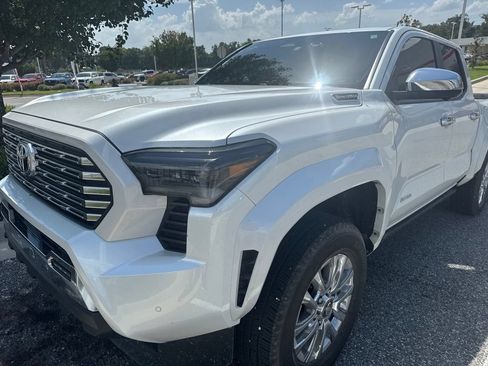 Used 2024 Toyota Tacoma Limited AWD/4WD image 1